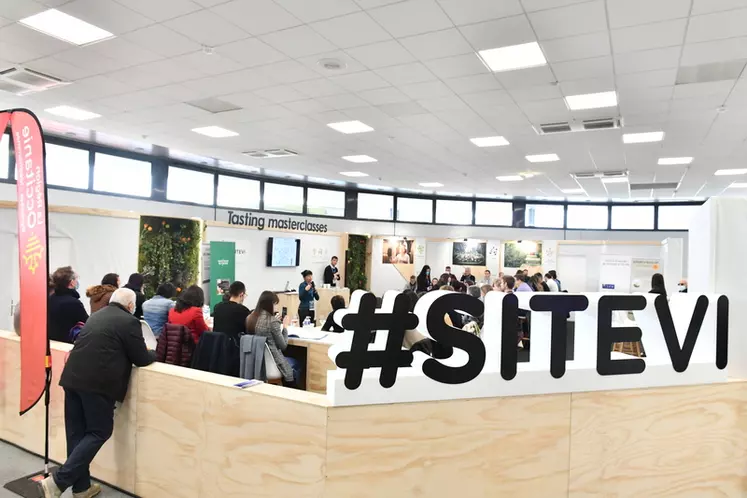 Cette année encore, le Sitevi abritera des 	master class de dégustation, ouvertes aux quelques 55 000 visiteurs espérés par les organisateurs.