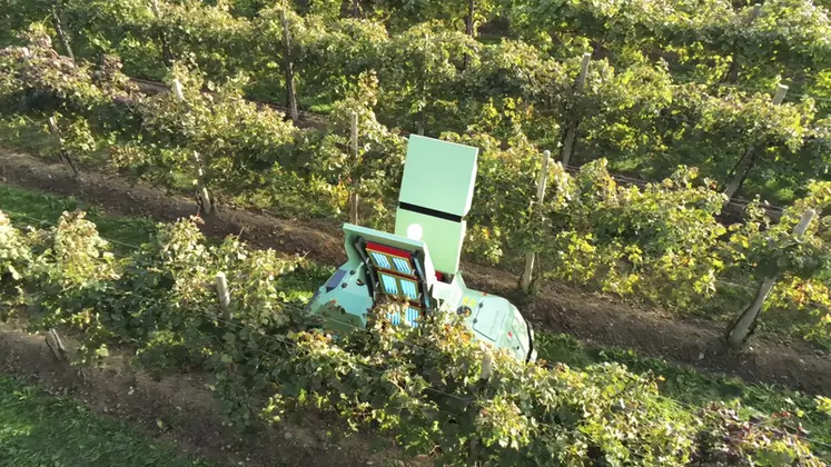 Le robot Icaro X4 de Maschio Gaspardo traite les vignes aux UV.