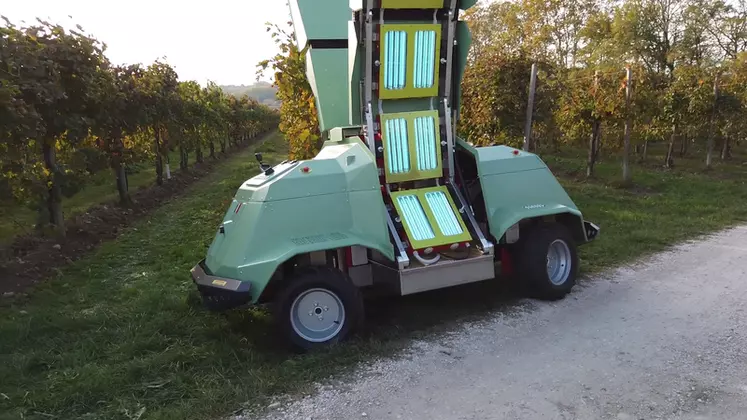 Le robot Icaro X4 de Maschio Gaspardo traite les vignes aux UV.