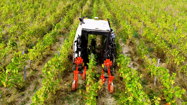 Le robot YV01 de Yanmar peut recevoir un relevage arrière pour ateler des outils de travail du sol sur le rang ou dans l'interrang.