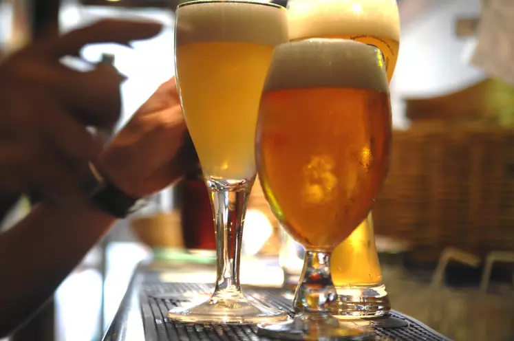 consommation de bière / brasserie alsacienne / Le Temple de la Bière / bar / comptoir / zinc / pression / différentes couleurs de bière