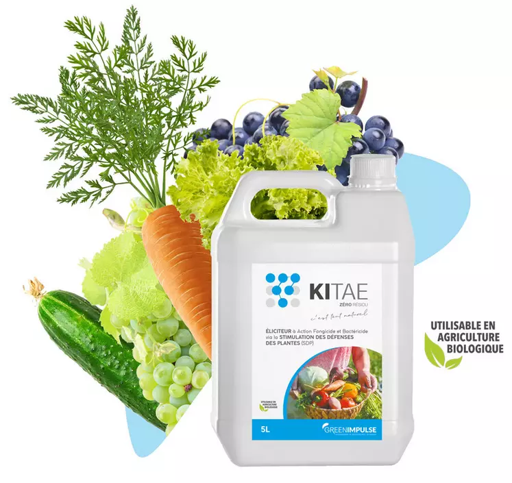 Le produit Kitae, développé par Green Impulse, est utilisable en vigne pour lutter contre le mildiou.