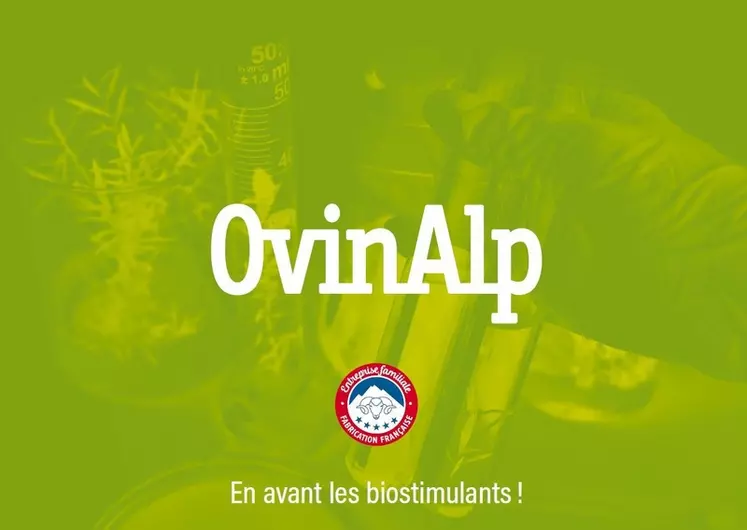 Ovinalp poursuit le développement de sa gamme de biostimulants, qui sont utilisables en vigne.