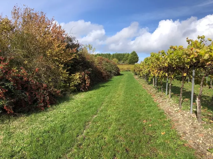 Accéder à l'écorégime, aide prévue par la nouvelle PAC, suppose de répondre au statut d'agriculteur actif. 