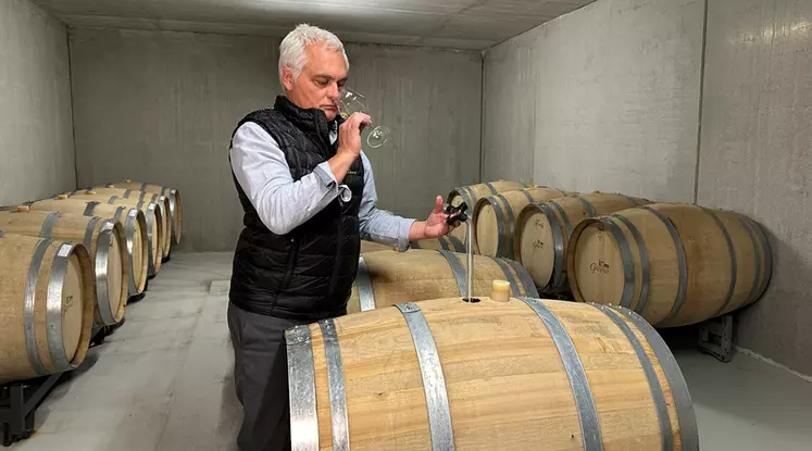 Emmanuel Couzi, œnologue à l’Union des vignerons des Côtes-du-Rhône souligne « la tension, la verdeur et les arômes de fleurs blanches » procurés par les barriques ...