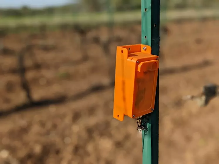Exemple de réalisation, AgroCam est  boîtier qui prend une photo par jour de la vigne, afin de suivre son évolution.