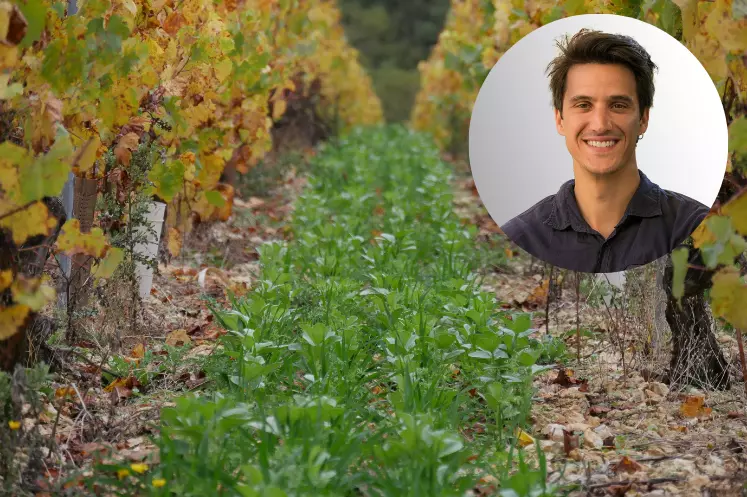 Thibaut Déplanche, directeur général du laboratoire Celesta-lab, dans l’Hérault, explique qu'il faut un sol en bon état pour réussir et rentabiliser un couvert ...