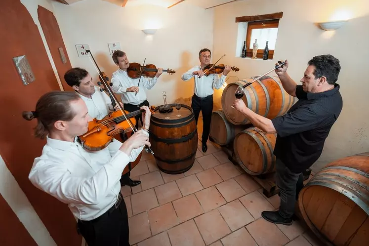 La rencontre avec le Quatuor Debussy a inspiré à Raphaël Pommier, vigneron ardéchois, sa cuvée Accord Tonique.