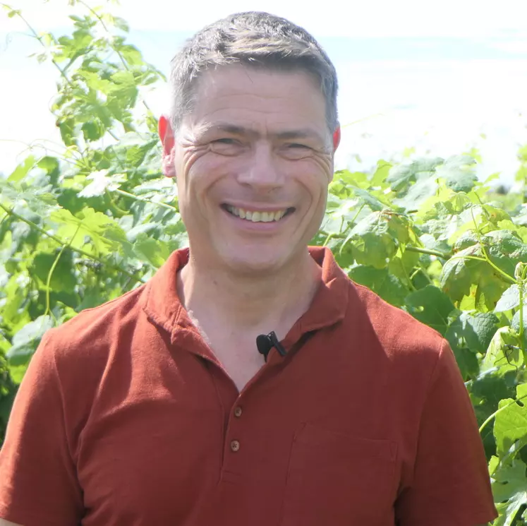 Nicolas Constant, référent viticulture biologique
