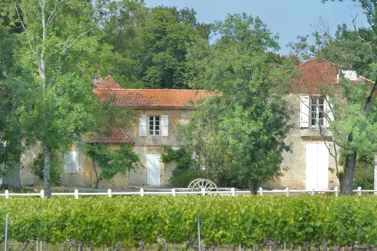 Viticulture en Gironde. Vignoble et Château La Tour de By dans le Bordelais. Paysage de vignes et domaine viticole. Production de vin de Bordeaux dans le Médoc. Prestige ...