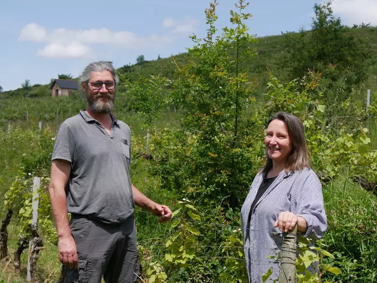 Cédric Aubert et Véronique Gourdon laissent la nature s'installer dans les vignes tout en maîtrisant le nombre et la taille des végétaux.