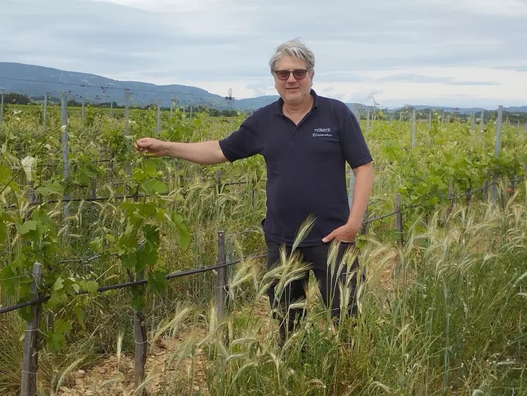 Benjamin Meï met en œuvre les principes de la permaculture et de l'hydrologie régénératrice pour des vignes plus résilientes. 