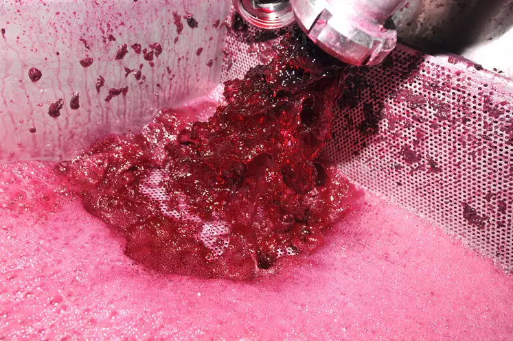 Remontage au Château La Louvière à Pessac Léognan en Gironde. Vinification en rouge. Pratiques oenologiques.