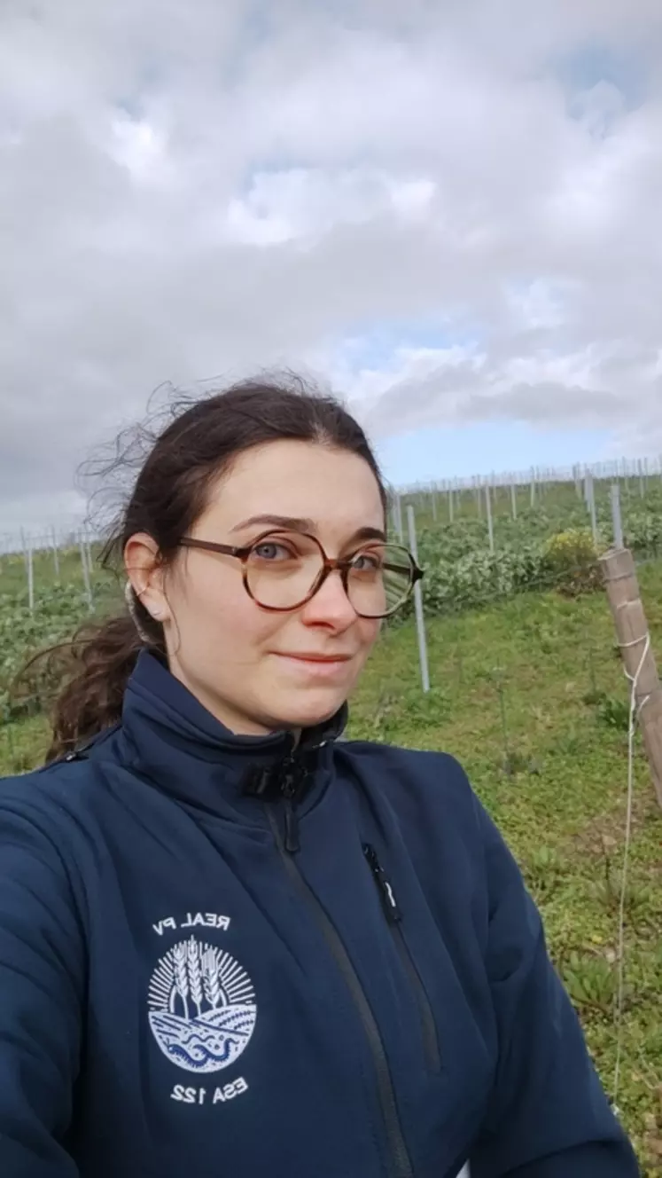 Laëtitia Bau, étudiante à l’ESA d’Angers, effectue son mémoire de fin d'études sur l'impact des couverts végétaux sur le gel de la vigne.