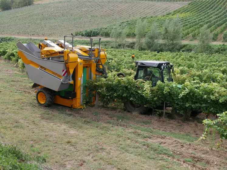 Les machines tractées séduisent de plus en plus les viticulteurs pour leur bonne rentabilité.