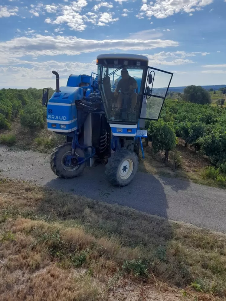 Cédric Pereira, viticulteur coopérateur établi à La Redorte, dans l’Aude, a fait une très bonne affaire. Il y a quatre ans, il a acquis une vieille Braud SV60 de 1998, ...