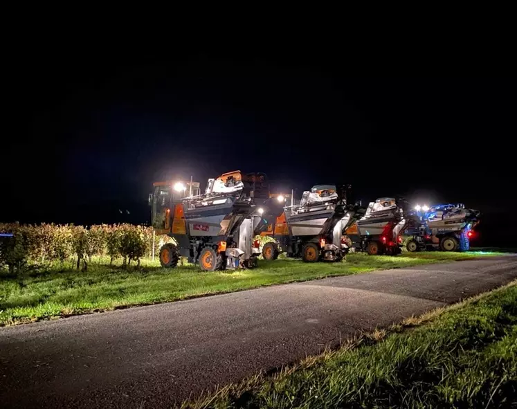 Avec ses 38 machines à vendanger, l'entreprise girondine Banton-Lauret peut répondre à différents besoins.