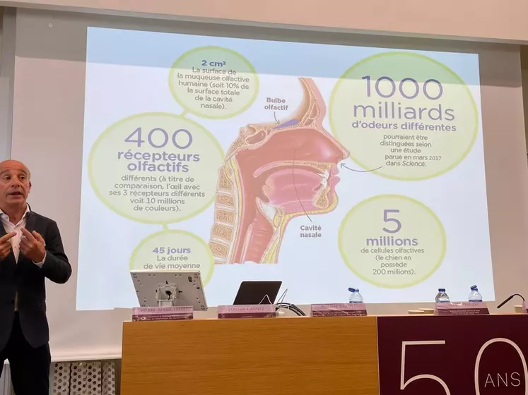 Le nez a des capacités impressionnantes : il peut identifier 1 000 milliards d'odeurs différentes.