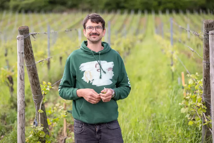 Jean Dietrich, vigneron au domaine Achillée, à Scherwiller, dans le Bas-Rhin« Les palox permettent de respecter les raisins, de ne pas les triturer »