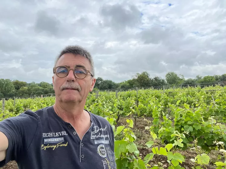 Jean-François Vaillant, viticulteur au domaine Les Grandes Vignes, à Thouarcé, dans le Maine-et-Loire« Le travail avec des palox diminue la pénibilité »