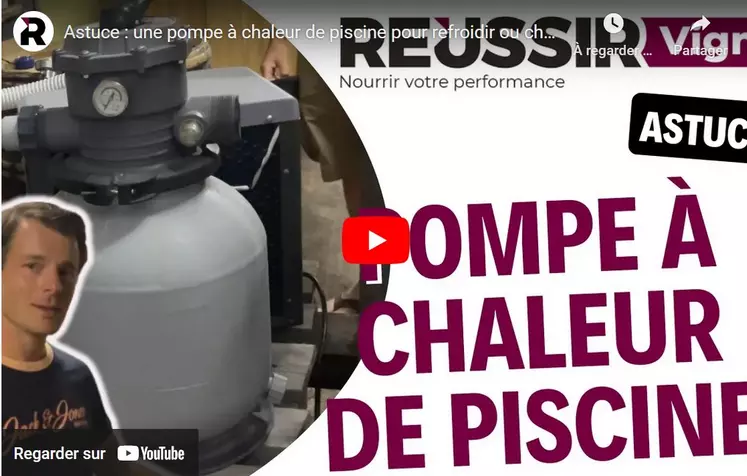 Le vigneron du Beaujolais, Benjamin Passot, a inventé un système de thermorégulation avec une pompe de piscine.