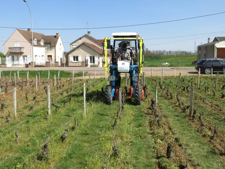 Travail du sol intercep en vigne étroite, à Vosne-Romanée, Côte-d'Or, Bourgogne, enjambeur Bobard LCC60, intercep Petalmatic de Boisselet, Domaine Arnoux-Lachaux, ...