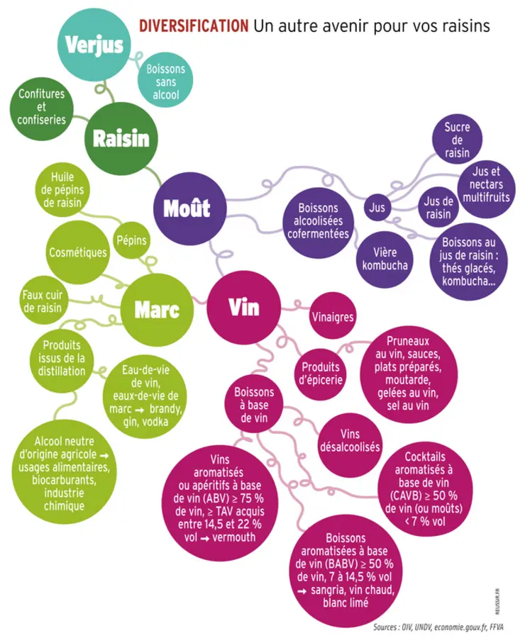 <em class="placeholder">Graphique = Diversification : Un autre avenir pour vos raisins</em>