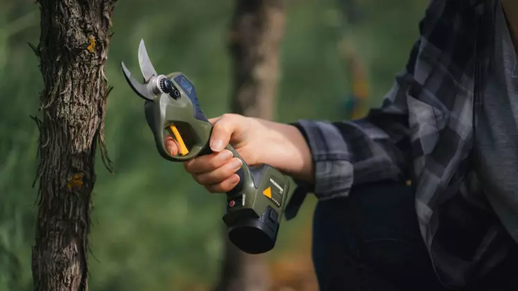 Sécateur électrique intégré Alpen Swiss Tool Wildhorn 32