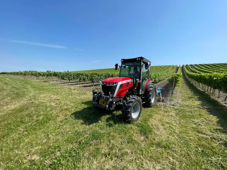 <em class="placeholder">Tracteur spécialisé fruitier Massey Ferguson MF3 MF3FR.105 dans les vignes</em>