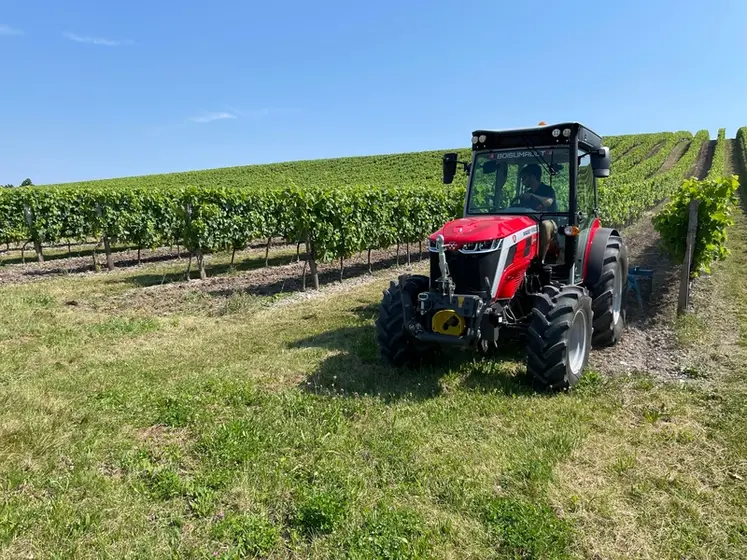 <em class="placeholder">Tracteur spécialisé fruitier Massey Ferguson MF3 MF3FR.105 dans les vignes</em>