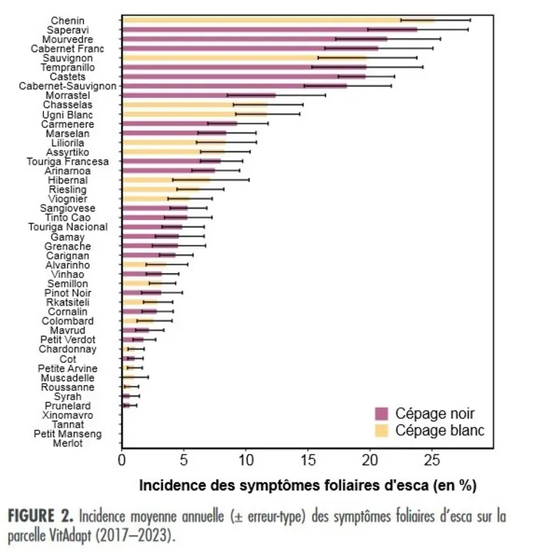 <em class="placeholder">Graphique sensibilité cépages esca</em>