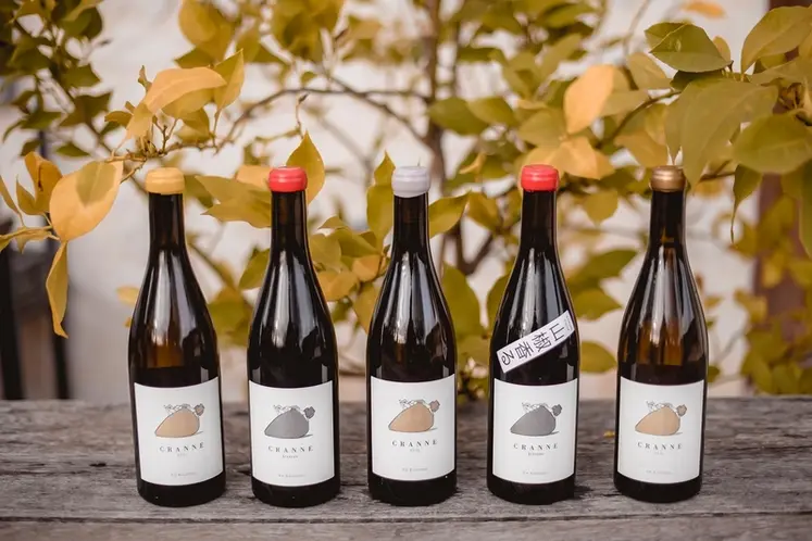 <em class="placeholder">Vincent Lacoste a développé des produits originaux, à l’instar de sa cuvée Sterenn avec finition poivre de Sichuan, feuilles de cerisiers, feuilles de figuiers ou ...</em>