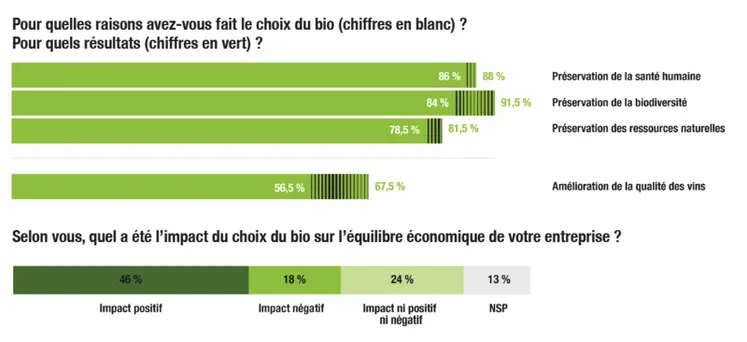 <em class="placeholder">Millésime Bio a interrogé ses exposants français en septembre-octobre 2024 sur leurs motivations et confiance envers la viticulture biologique. </em>