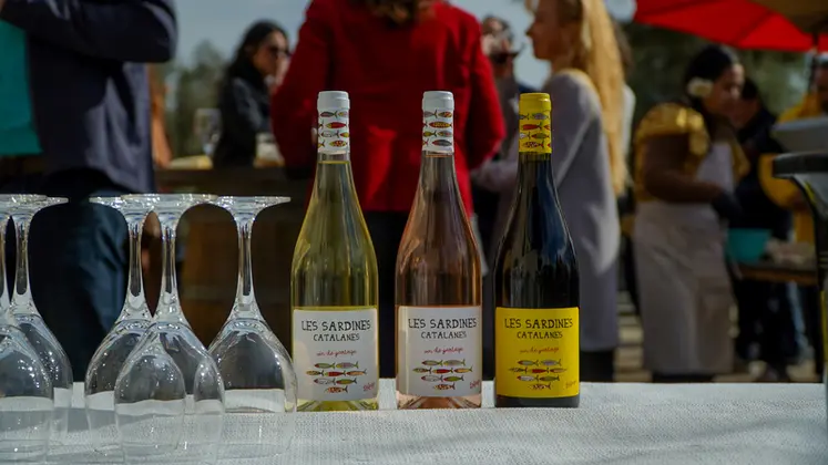 <em class="placeholder">Lancer une nouvelle gamme visant un créneau de marché très spécifique est une solution expérimentée avec succès par le domaine Lafage. </em>