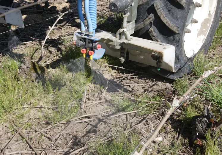<em class="placeholder">désherbage à  l&#039;aide d&#039;une solution diluée de produit Basta dans le vignoble de Champagne . désherbage non sélectif . produit phytosanitaire . pesticide . traitement . ...</em>