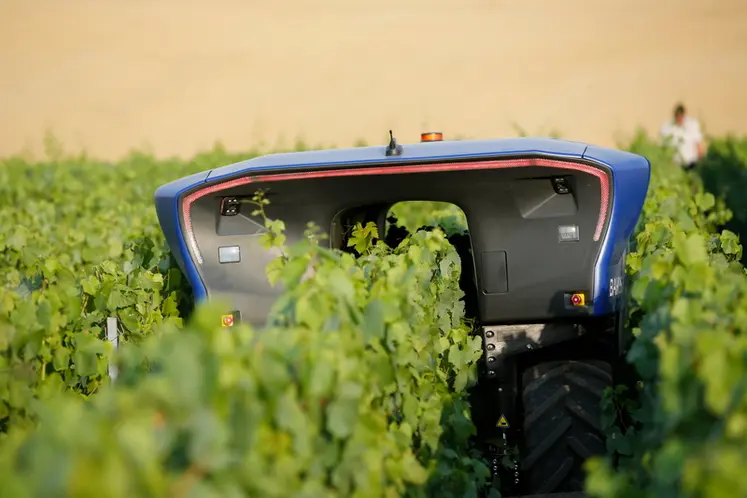 <em class="placeholder">Le premier robot viticole Bakus cree par la societe Vitibot installe a Reims dans la Marne pendant une presentation dans le vignoble Champenois. 5 exemplaires ont ete achete ...</em>