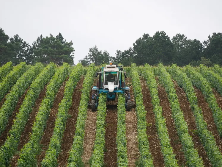 <em class="placeholder">Tracteur enjambeur réalisant du travail du sol en vignes étroites, à l&#039;aide d&#039;une charrue vigneronne.</em>
