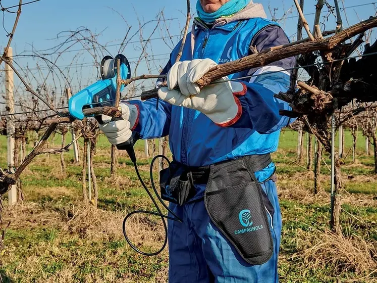 <em class="placeholder">Attacheur de vigne Campagnola</em>