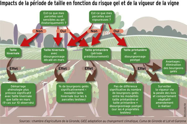 <em class="placeholder">GRAPHIQUE : Les critères de choix pour déterminer sa période de taille - Impacts de la période de taille en fonction du risque gel et de la vigueur de la vigne</em>