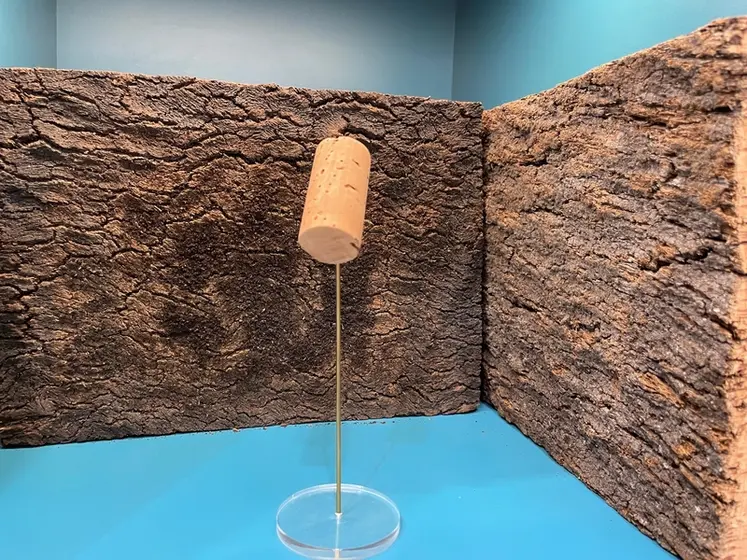 <em class="placeholder">Bouchon en liège naturel d'Amorim.</em>