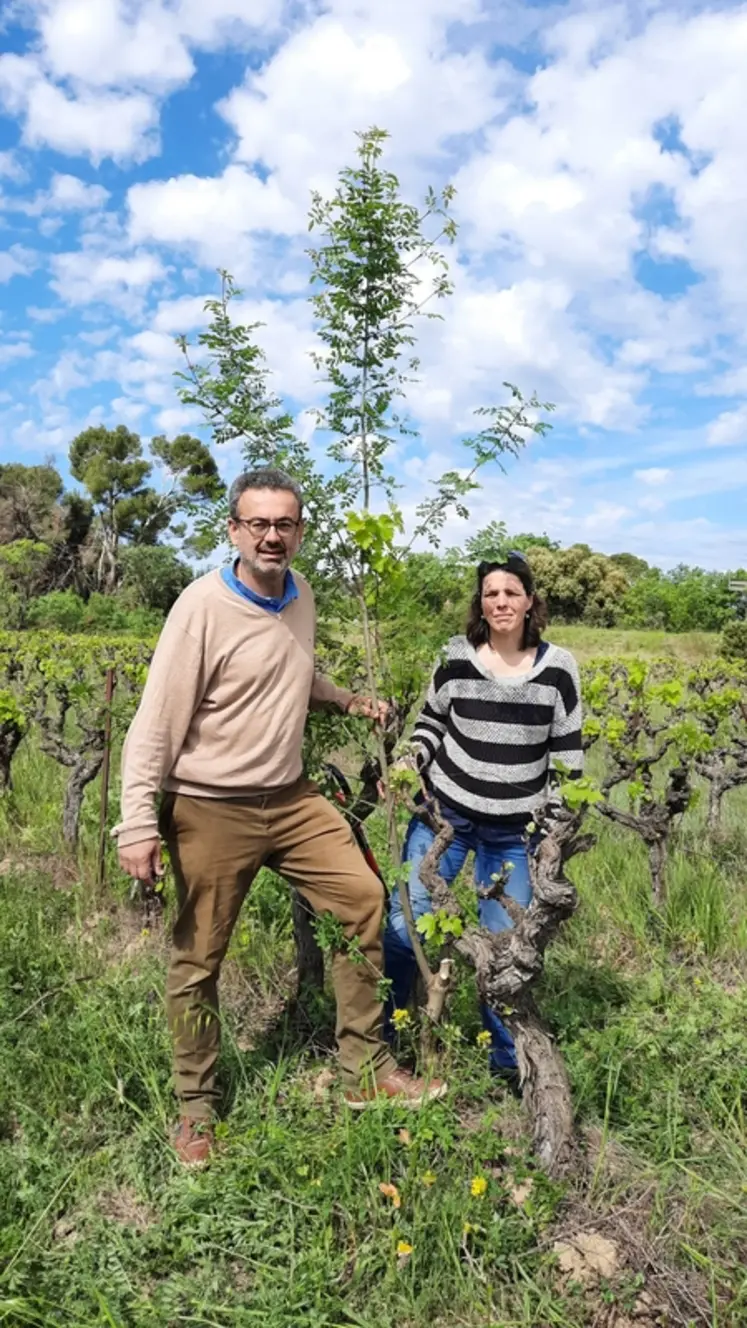 <em class="placeholder">Frantz Vènes exploite 100 ha de vignes, au Château Massamier La Mignarde, à Pépieux, dans l’Aude</em>