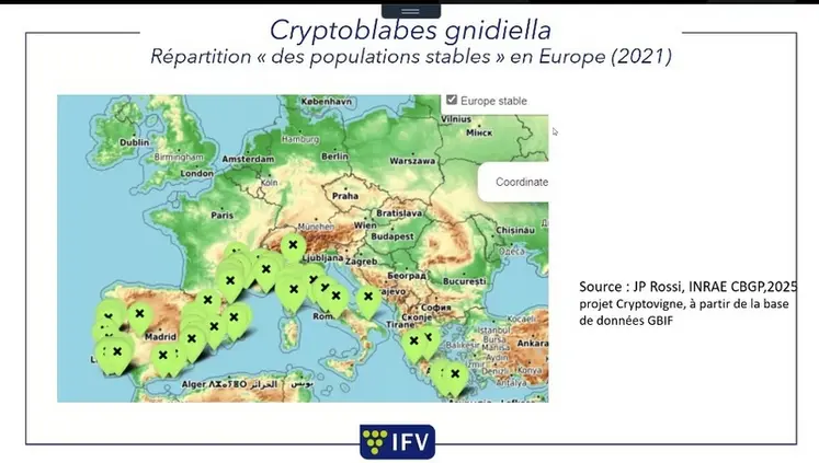 <em class="placeholder">Carte d&#039;Europe avec les populations de Cryptoblabes gnidiella.</em>