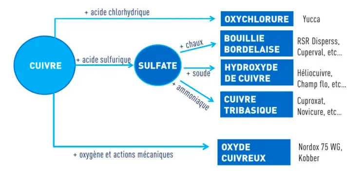 Tableau explicatrif des composants des différentes préparations contre le mildiou de la vigne