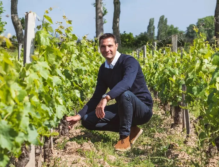 <em class="placeholder">Antony Appollot, directeur délégué général de Sarments Vignobles, en Gironde.</em>
