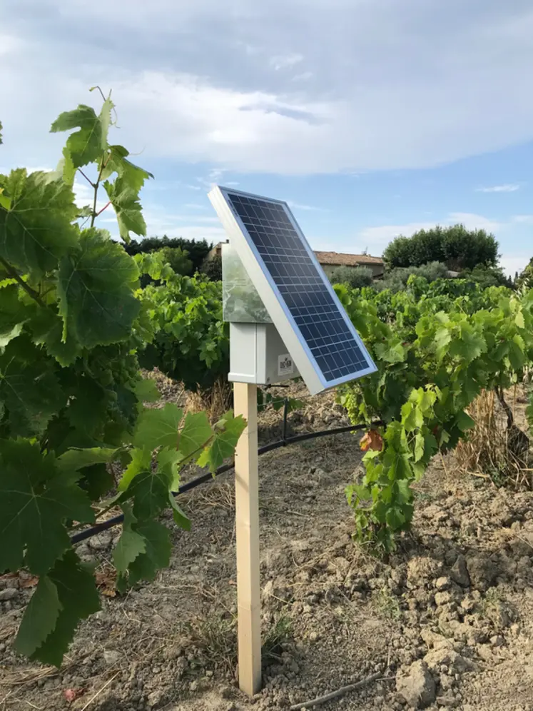 <em class="placeholder">Piège actif de l&#039;entreprise DAC ADN pour capteur les spores dans les vignes.</em>