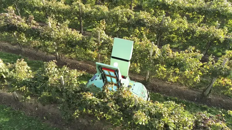 <em class="placeholder">Machine à UV Icaro X4 de Maschio Gaspardo</em>