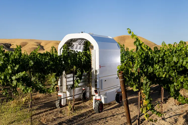 <em class="placeholder">Robot Thorvald dans les vignes</em>