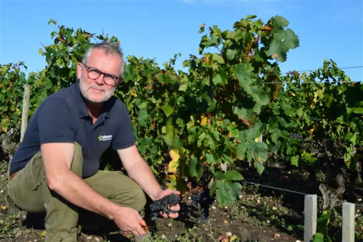 <em class="placeholder">Tristan Roze des Ordons, conseiller viticole chez Phloème, en Gironde</em>