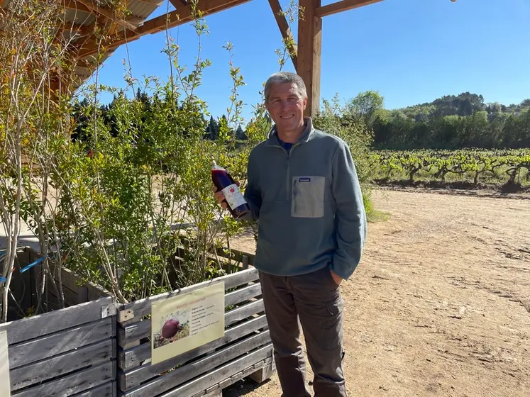 <em class="placeholder">Thomas Saleilles produit désormais, en plus du raisin, du jus et des plants de grenade.</em>