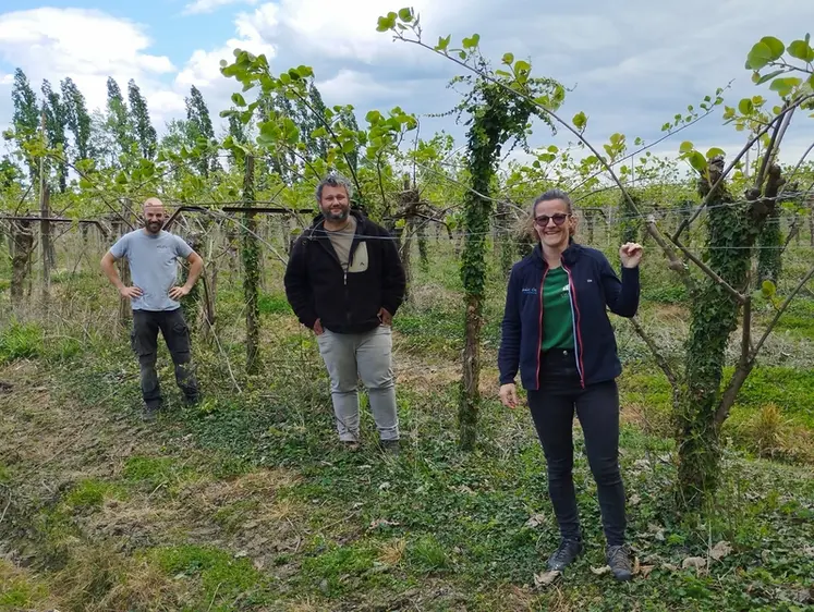 <em class="placeholder">La famille Hauselmann dans sa parcelle de kiwis. </em>